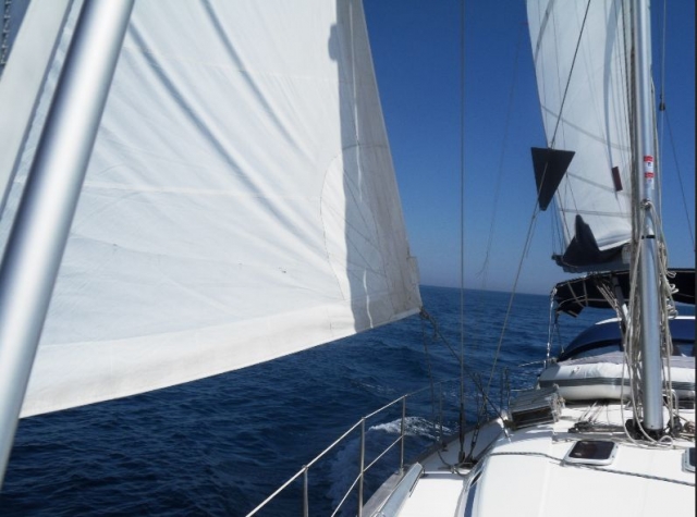  Curso de gestión de vela 